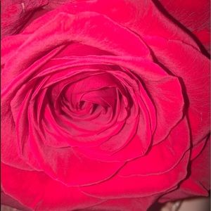 Meet your Posher, Tamyria